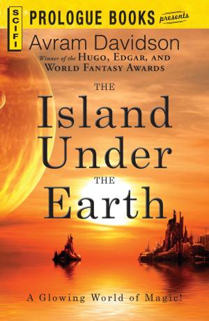 Book cover of The Island Under the Earth