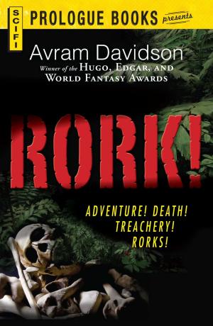 Cover of the book Rork! by Glenn S Rothfeld, Deborah S. Romaine