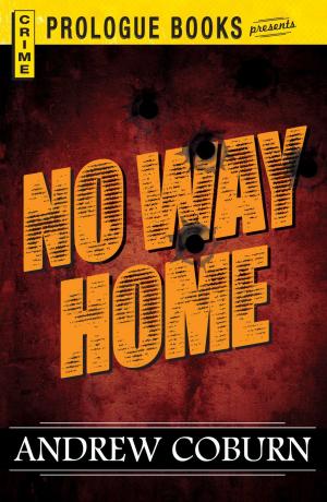 Cover of the book No Way Home by René Appel