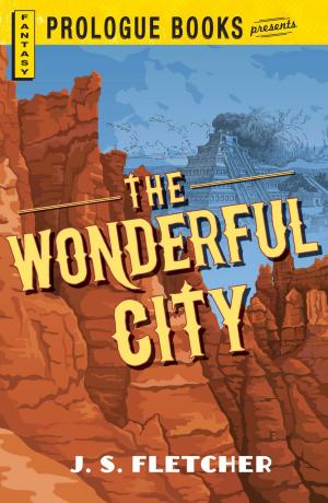 Book cover of The Wonderful City