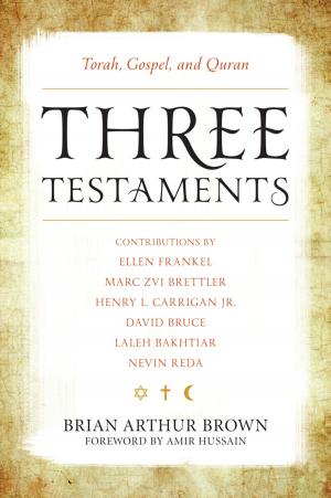 Cover of the book Three Testaments by Lauren D. Costine