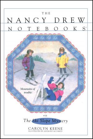Cover of the book The Ski Slope Mystery by Beatrice Gormley