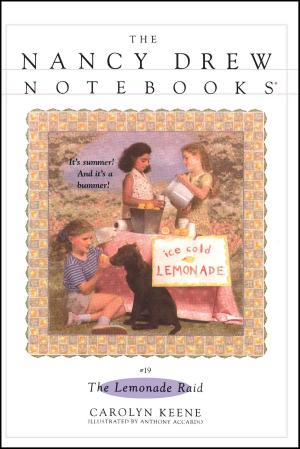 Cover of the book The Lemonade Raid by Jessica Burkhart