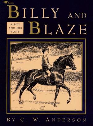 Cover of the book Billy and Blaze by Franklin W. Dixon