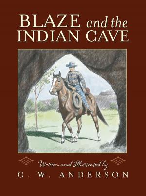 Cover of the book Blaze and the Indian Cave by Carolyn Keene