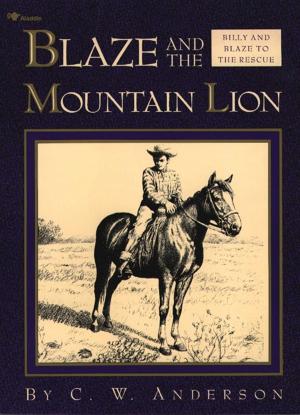 Book cover of Blaze and the Mountain Lion