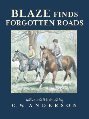 Cover of the book Blaze Finds Forgotten Roads by Carolyn Keene