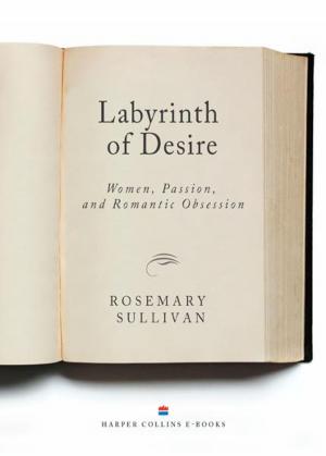 Book cover of Labyrinth Of Desire