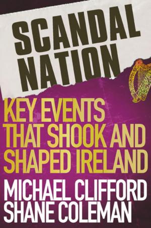 Book cover of Scandal Nation