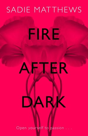 Cover of the book Fire After Dark (After Dark Book 1) by Denise Robins