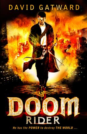 Cover of the book Doom Rider by Linda Newbery