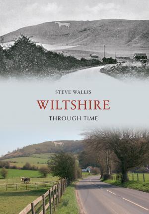 bigCover of the book Wiltshire Through Time by 