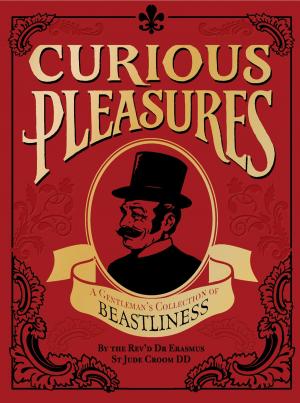 Cover of the book Curious Pleasures by Carl Cattermole