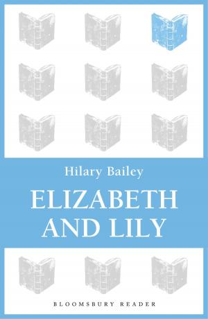 Cover of the book Elizabeth and Lily by Joni Sensel