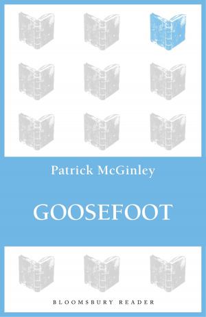 Cover of the book Goosefoot by Professor Robert Kolb