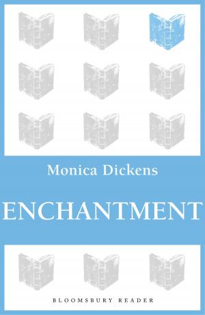 Cover of the book Enchantment by Frances Donaldson