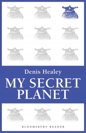 Cover of the book My Secret Planet by Professor Steve Moyise