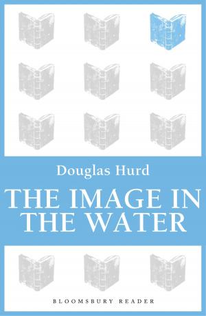 Book cover of The Image in the Water