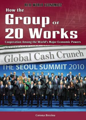 Cover of the book How the Group of 20 Works by Zoe Lowery, Fiona Forsyth