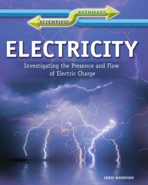 Cover of the book Electricity by Ann Byers