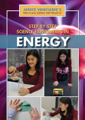 Cover of Step-by-Step Science Experiments in Energy
