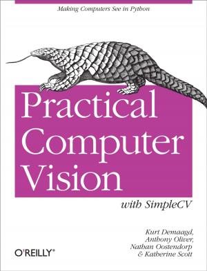 Cover of the book Practical Computer Vision with SimpleCV by Mike Wilson