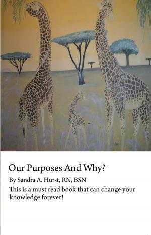 Cover of the book Our Purposes and Why? by Rosemary Heddens