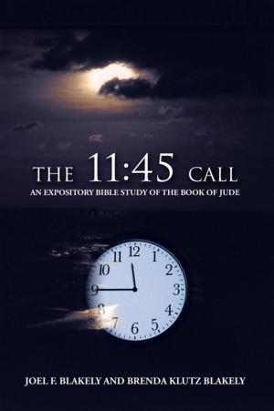 Cover of the book The 11:45 Call by Dr. Bill Effler