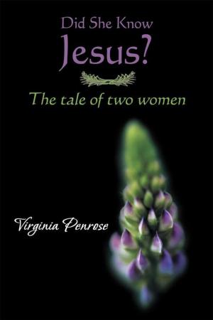 Cover of the book Did She Know Jesus? by M. Finley-Sabir