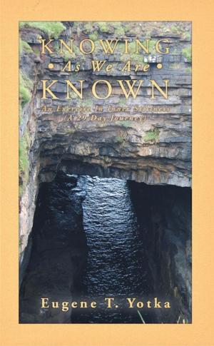 Cover of the book Knowing as We Are Known by Luteria Archambault.