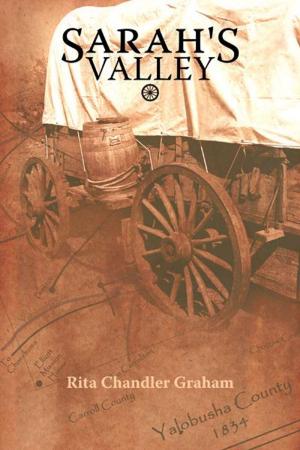Cover of the book Sarah's Valley by Martin Turnbull