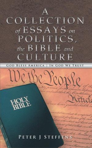 Cover of the book A Collection of Essays on Politics, the Bible and Culture by Scott Ortega