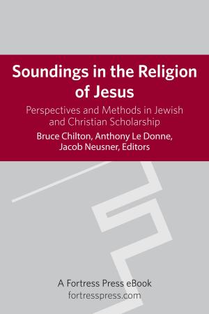 Cover of the book Soundings in the Religion of Jesus by Amy Kalmanofsky