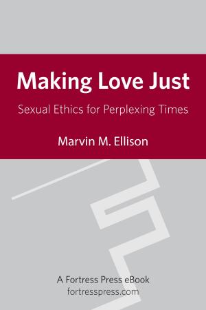 Cover of the book Making Love Just by Bonnie J. Miller-McLemore