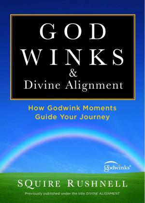 Book cover of Godwinks & Divine Alignment
