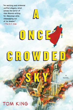 Book cover of A Once Crowded Sky