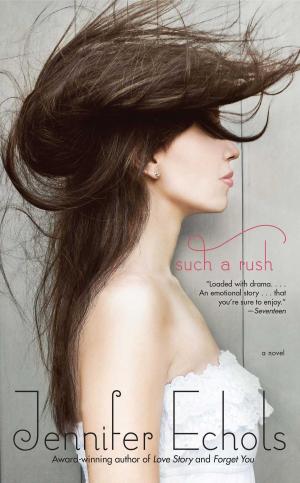 Cover of the book Such a Rush by Harriet Evans