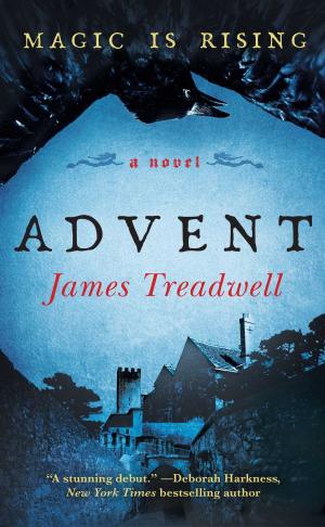 Cover of the book Advent by Thomas Keneally