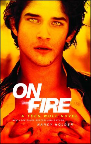 Cover of the book On Fire by Jenny O'Connell