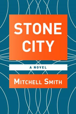 bigCover of the book Stone City by 
