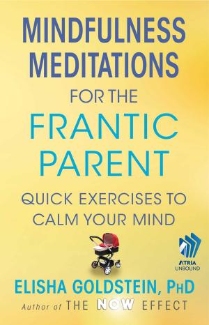bigCover of the book Mindfulness Meditations for the Frantic Parent by 
