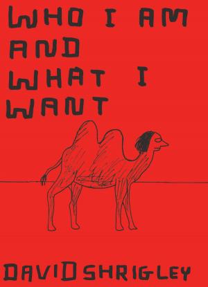 Cover of Who I Am and What I Want