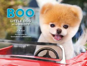 Cover of the book Boo: Little Dog in the Big City by Taro Gomi