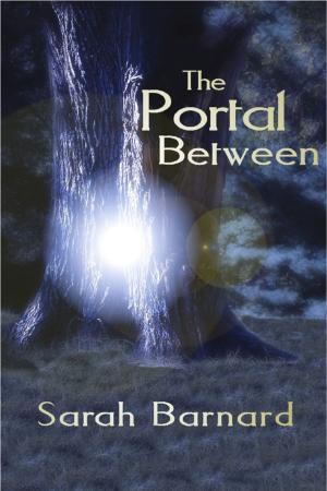 Book cover of The Portal Between