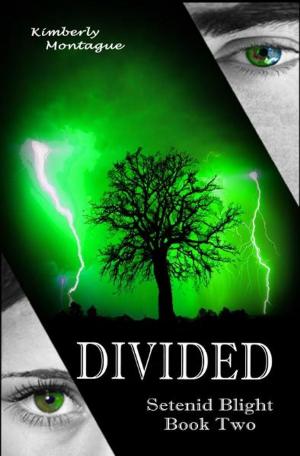 Cover of Divided: Setenid Blight Book Two