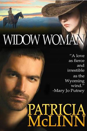 Cover of the book Widow Woman by Douglas L. Bockus