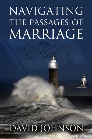 bigCover of the book Navigating the Passages of Marriage by 