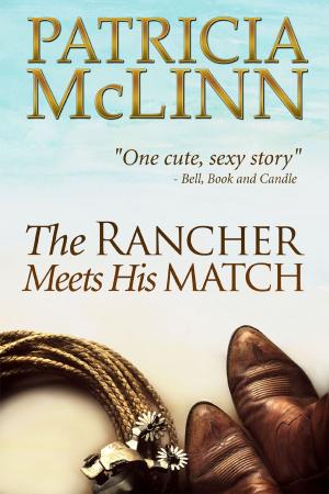 Cover of the book The Rancher Meets His Match (Bardville, Wyoming Trilogy) by Amy Gregory