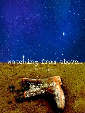 Book cover of Watching from above...