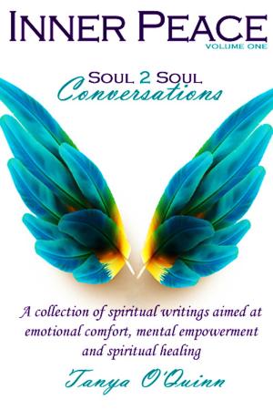 Book cover of Inner Peace: Soul 2 Soul Conversations, Volume One
